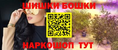 дмт Сланцы