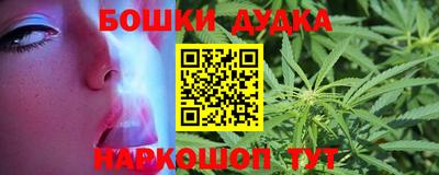 дмт Сланцы