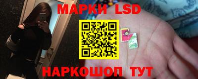 дмт Сланцы